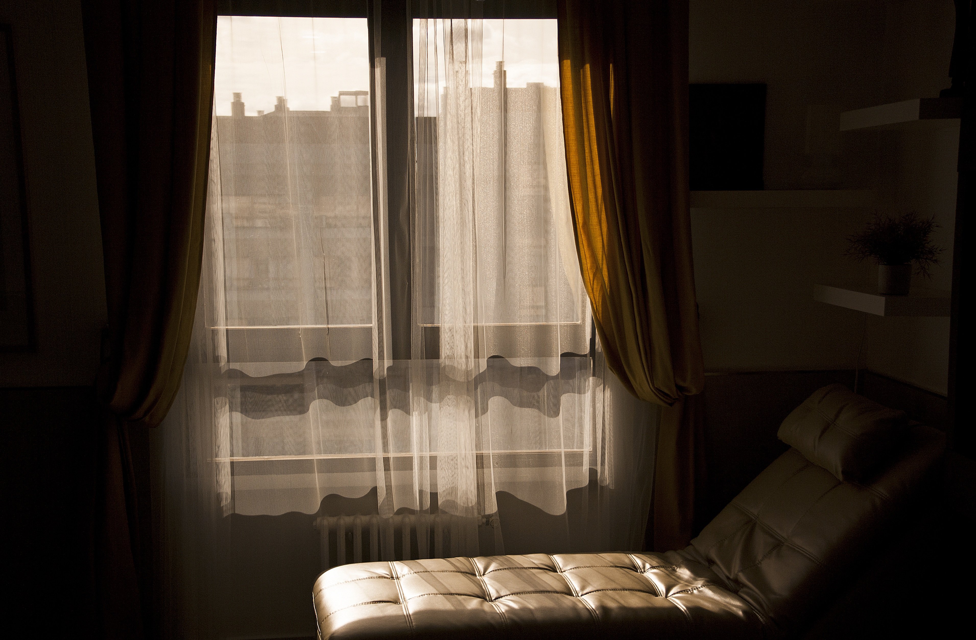 venetapublicidad-window-3579618.jpg